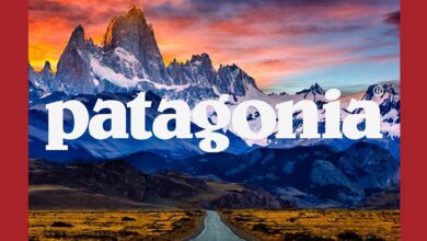 Photo of Patagonia — эталон качества и экологичности